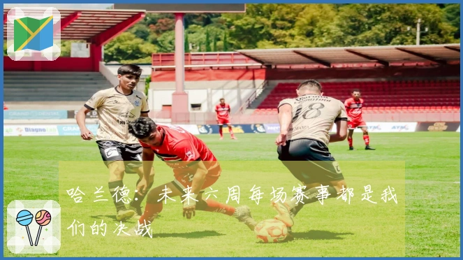 哈兰德：未来六周每场赛事都是我们的决战