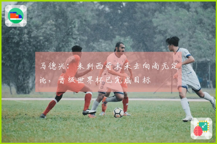 马德兴：米利西奇未来去向尚无定论，晋级世界杯已完成目标