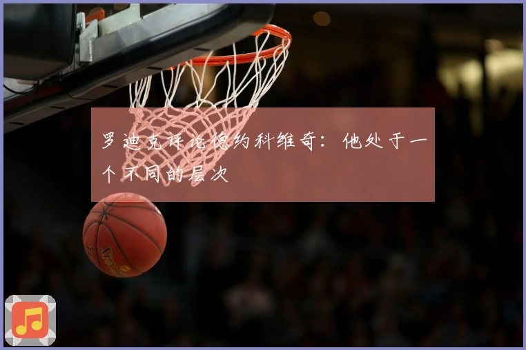 罗迪克评论德约科维奇：他处于一个不同的层次