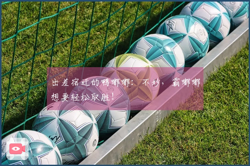 出差宿迁的鸭嘟嘟：不妙，霸嘟嘟想要轻松取胜！