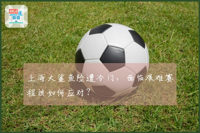 上海大鲨鱼险遭冷门，面临艰难赛程该如何应对？